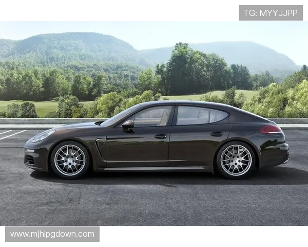 南宫娱乐旗下保时捷车系全解析，助你了解最新车型配置与性能表现